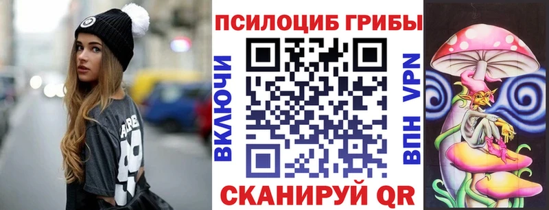 Псилоцибиновые грибы мицелий  Нязепетровск 